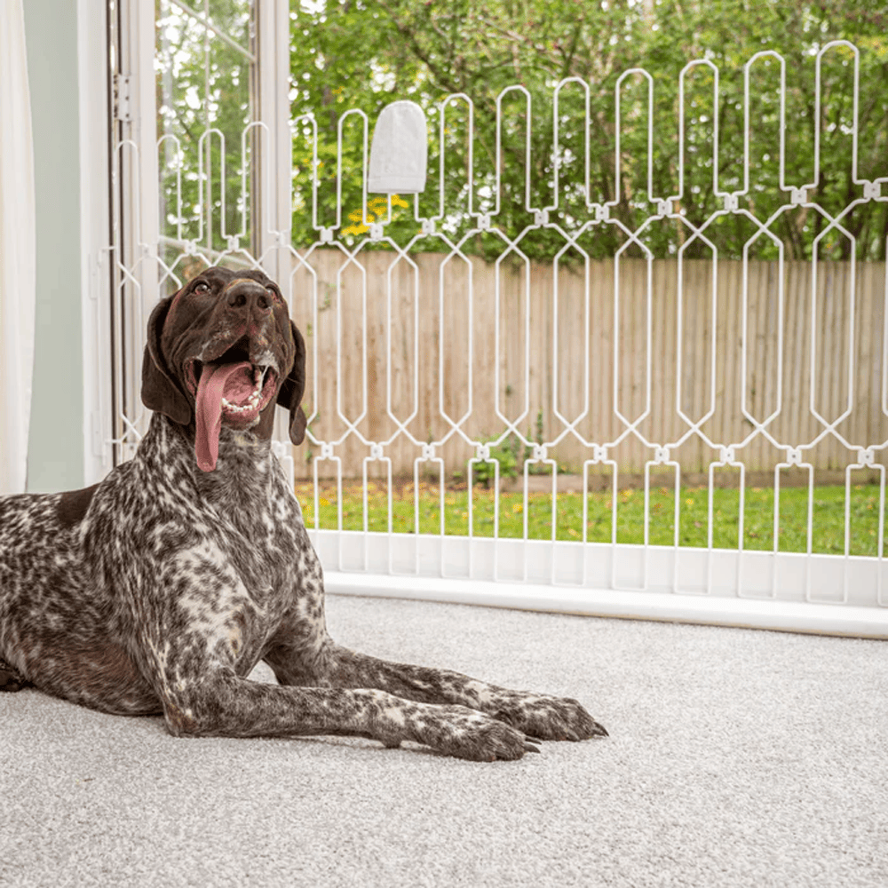 Dog Safety Gate Plus – Extra Strong, No-Drill Pet Gate for Stairways, Doorways & Hallways | Easy One-Hand Use, No Wall Damage